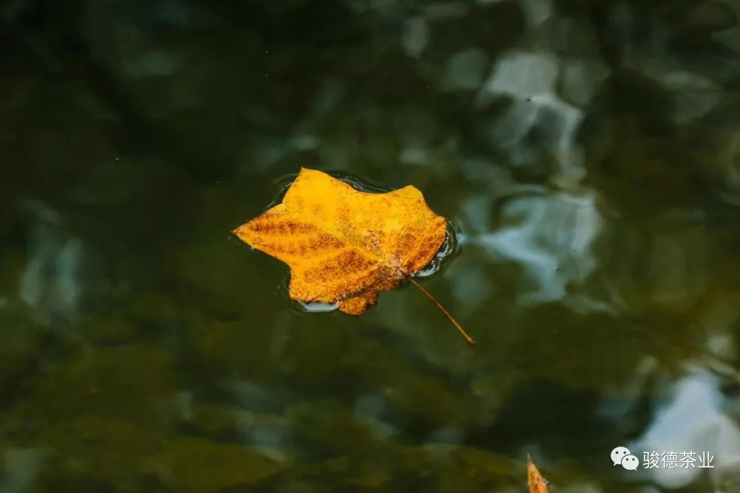 秋意渐浓，收获的季节