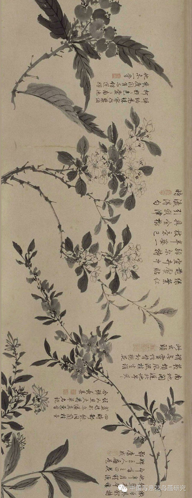 周之冕明代百花图卷