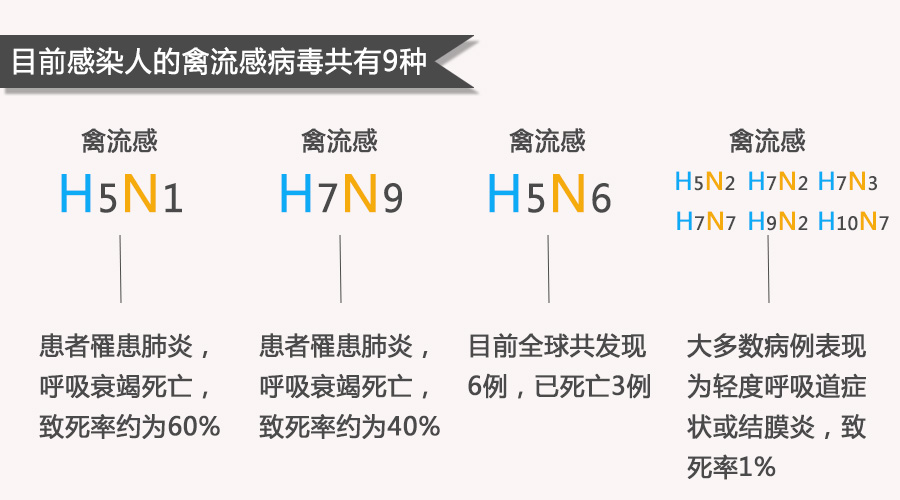 凤凰发生h5n6禽流感,这些hxnx到底都是些啥_病毒