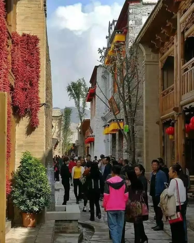 青藏高原野生动物园菊花展以及地处环西宁旅游圈内平安驿袁家村等景点