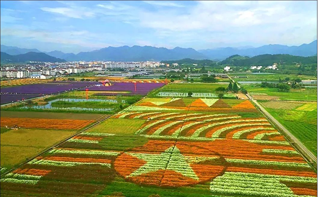 邂逅缙云笕川花海