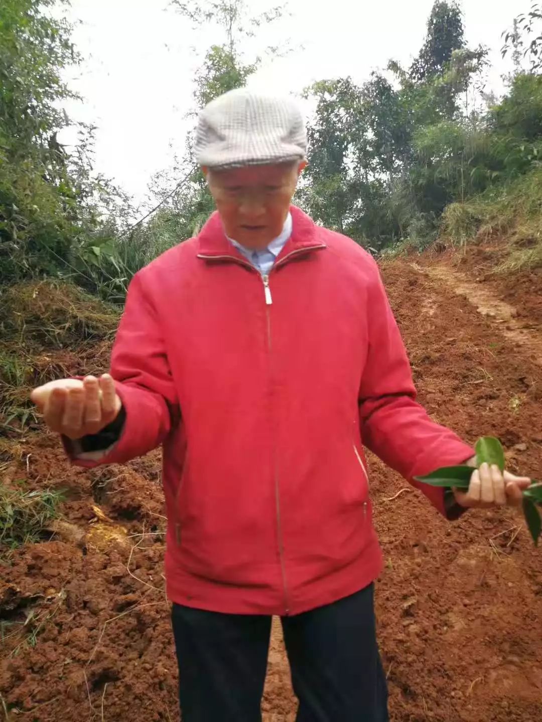 中华茶人蒋昭义我想在崇州谈谈道家茶