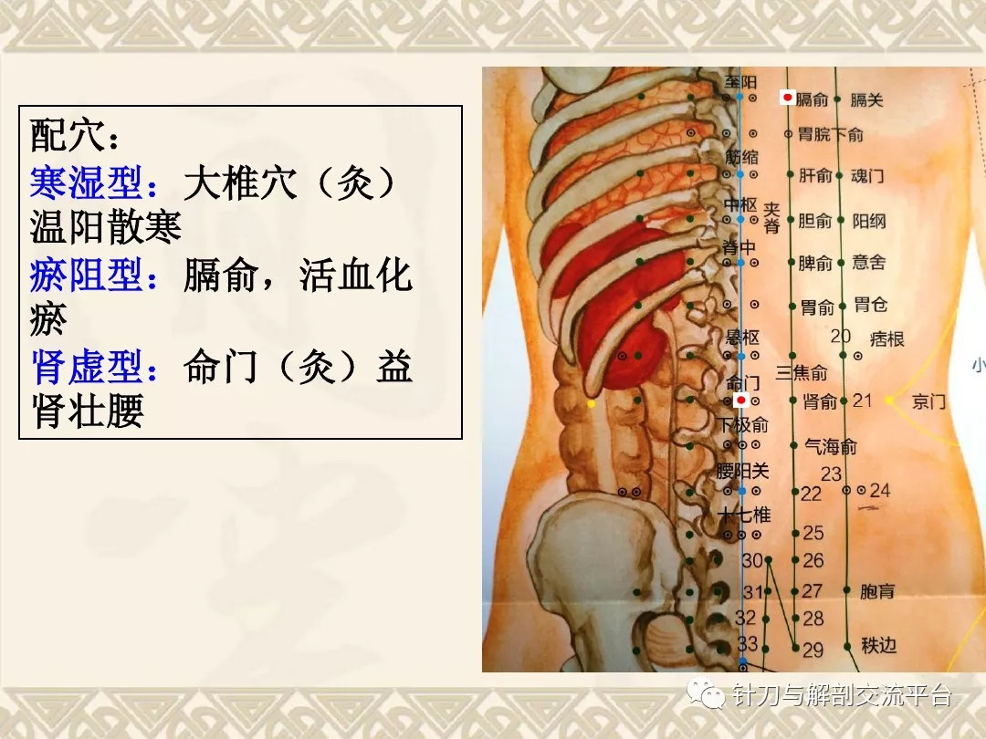 颈肩腰腿痛穴位讲解图