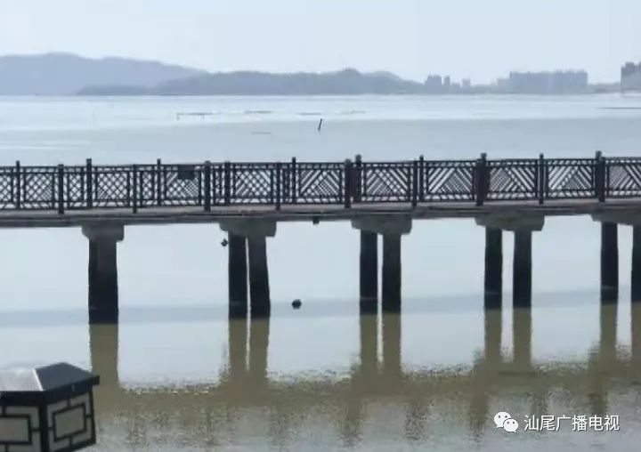 汕尾市多少人口_百年历史传承,省级非物遗之技艺,原产地 神仙眷侣饼 正宗惠来(2)