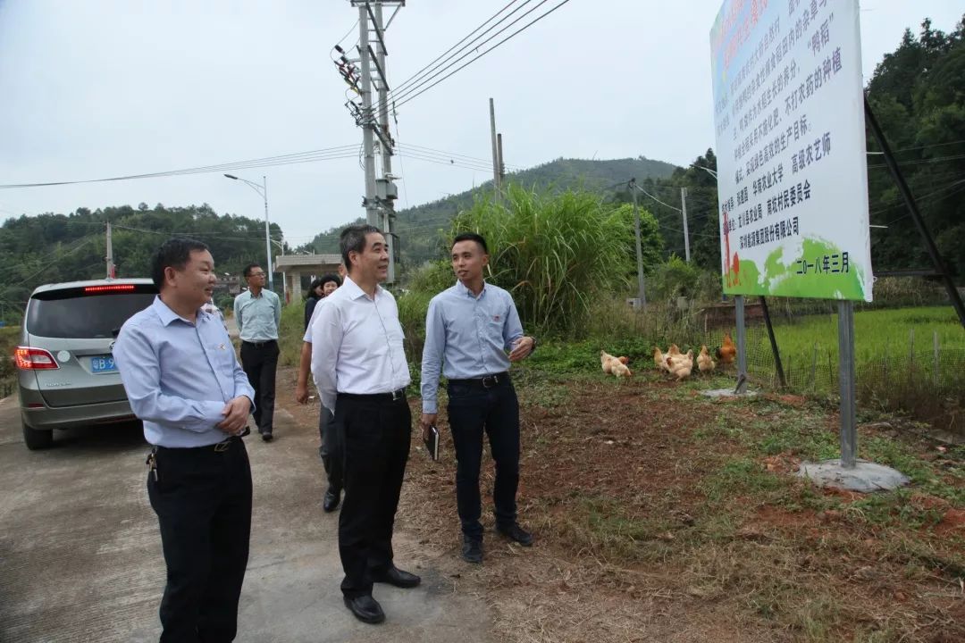 熊佩锦董事长到南坑村调研精准扶贫工作_龙川县