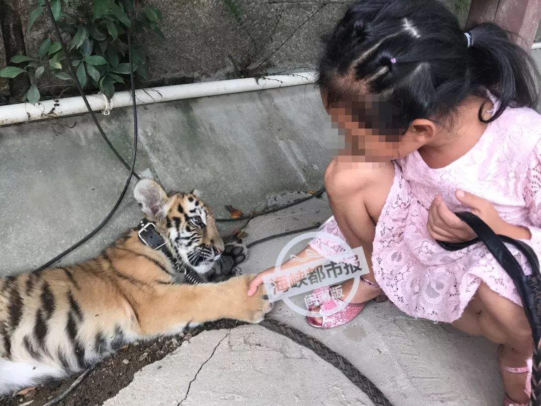 虎妞内衣_骆驼祥子虎妞图片