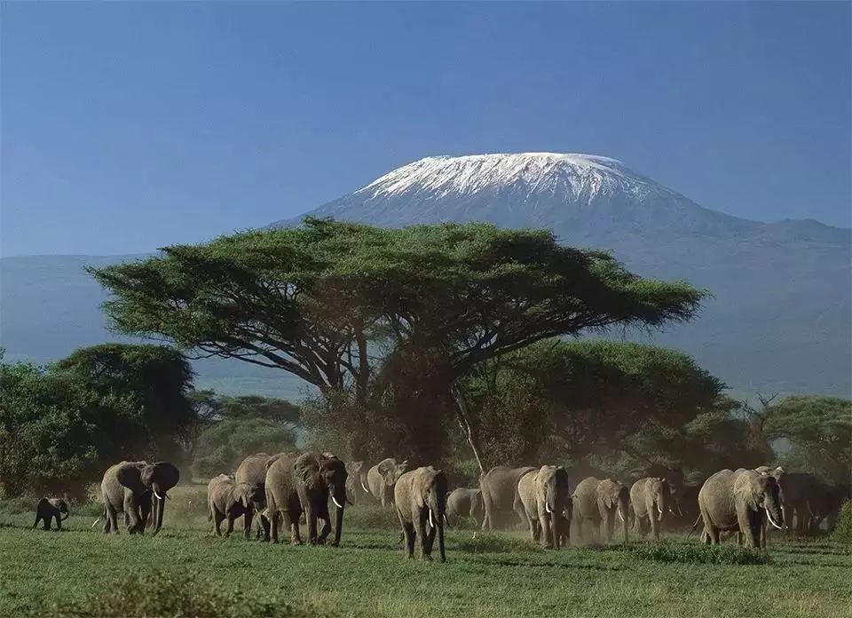 去非洲看一座雪山 是什么让你动了出发去非洲的念头?