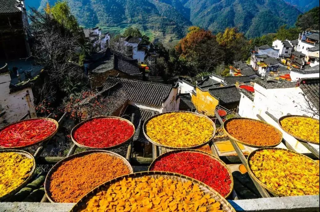 篁岭晒秋 秋天婺源篁岭的晒秋节绘就了世间难得一见的美景 依山而建