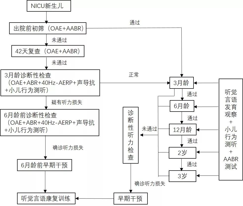 高危新生儿听筛流程