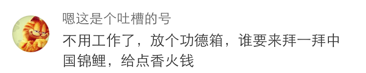 一個億！支付寶這次下血本，中國錦鯉自嘲：下半生不用上班了 科技 第16張