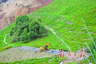 从濯濯童山到草木葱茏