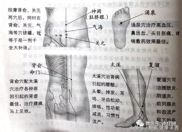 肾乃先天之本,肾经是主管人一生幸福的经络!