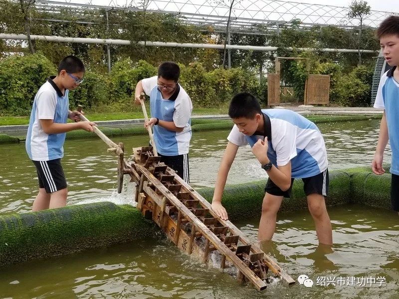 【实践育人】建功初二年级学农③——秋田欢庆 飘落的