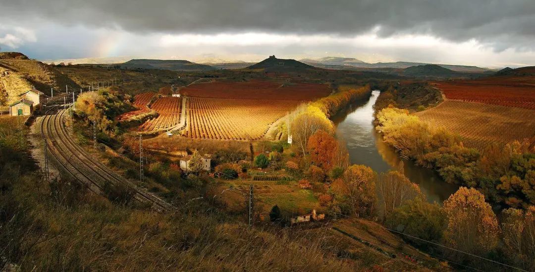【真·稀缺闪购】Rioja古老大名庄,Toro标杆酒