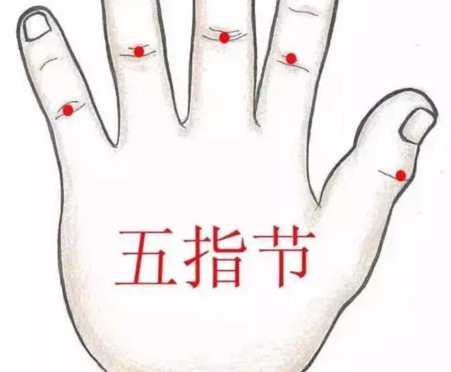 位置:五指节位于掌背面五指第一指间关节处横纹.