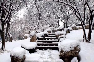 我省多地昨日迎来初雪,朋友圈"晒雪景",比比看,是不吉林市的最美呢?