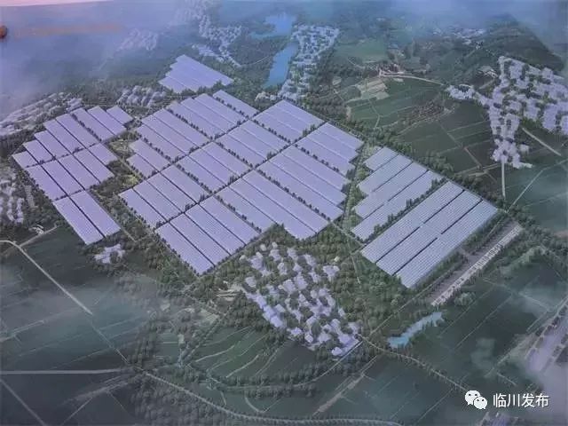 总投资20亿!临川全省最大无土栽培蔬菜基地加快建设
