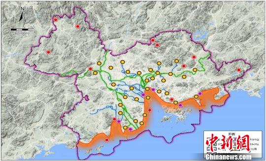 广东将在2025年建成粤港澳大湾区水鸟生态廊道