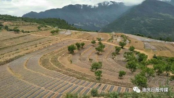 维西县人口_雨中走进维西县塔城镇(2)