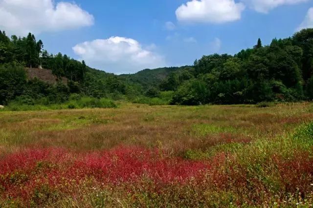 石柱冷水镇人口_钟祥市冷水镇小学