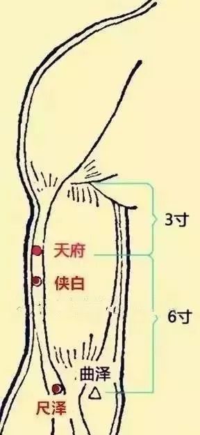 4,治肺气不足造成的经常恐惧,心跳过速,肋间神经痛,揉:侠白穴