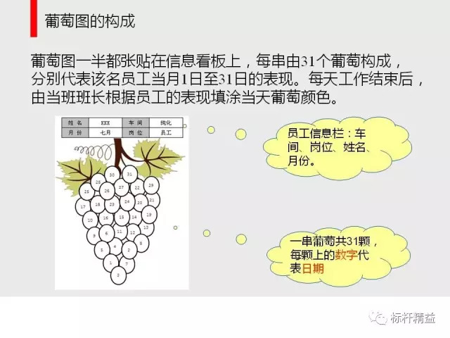 用葡萄图来做员工绩效管理