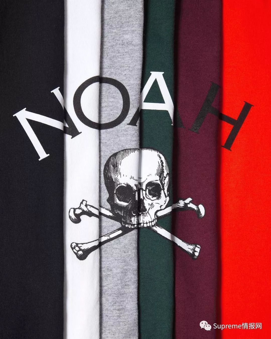 经典的noah logo配上jolly roger相信吸引