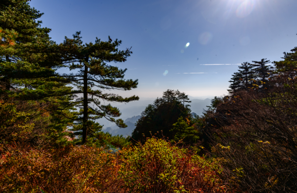 鲁山县尧人口_鲁山县库区乡尧龙湾