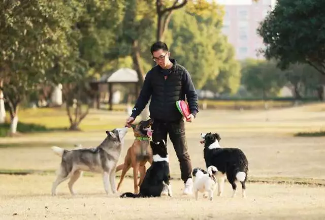 快速解析风靡全球的动物辅助疗法运用于老年人康复的优缺点!