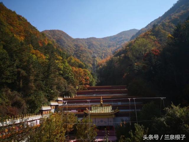 金秋十月的兰州石佛沟灵岩禅寺 层林尽染令人迷醉