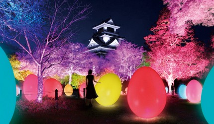 日本百大名城之一,这个冬季来高知城赏夜间奇