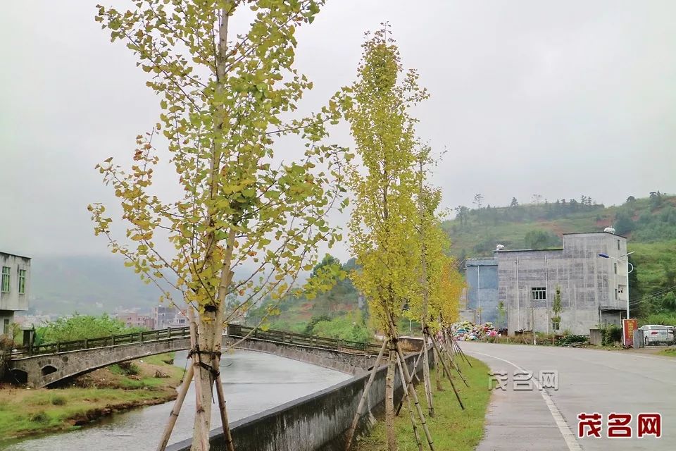 马安山多少人口_马安山花园(2)