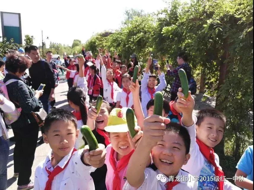 青龙街小学丰收硕果致敬祖国争做新时代好队员研学之旅