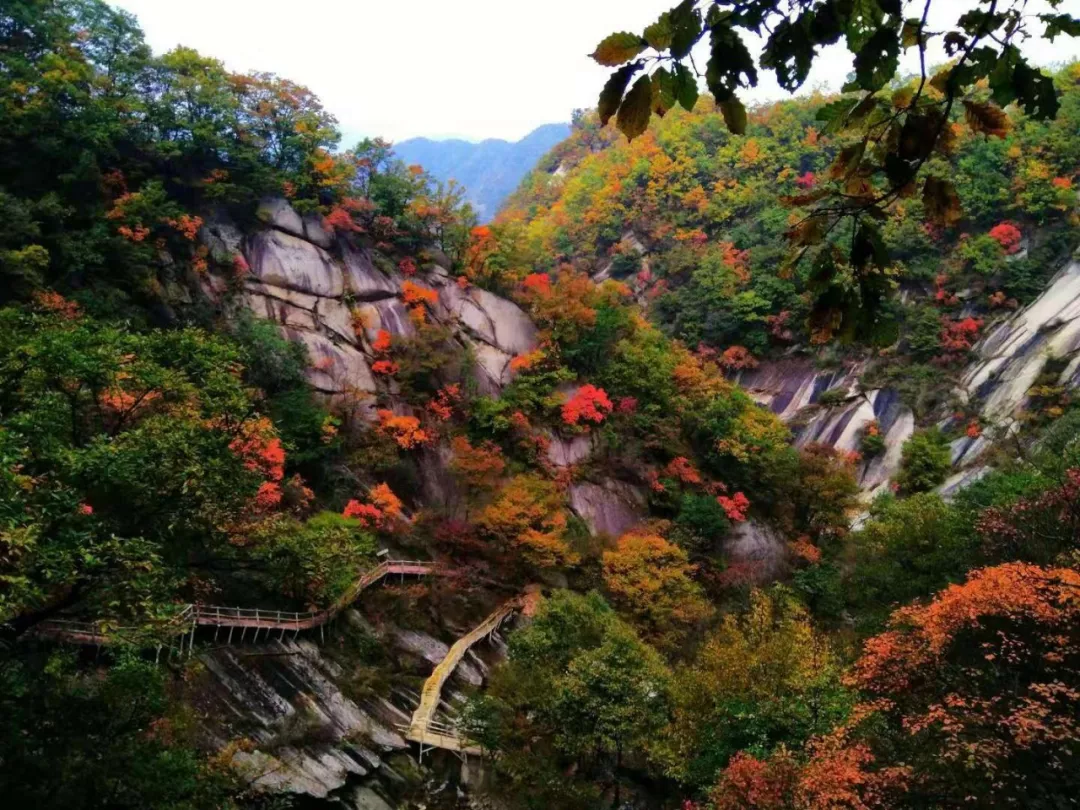 木札岭