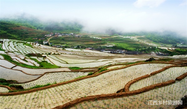 好山好水就来大余长岭村