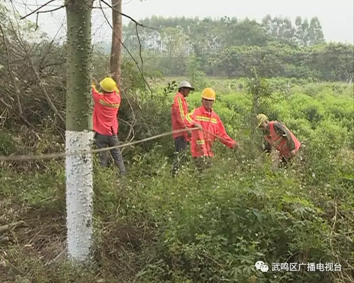 武鸣罗圩人口有多少_武鸣人口姓氏