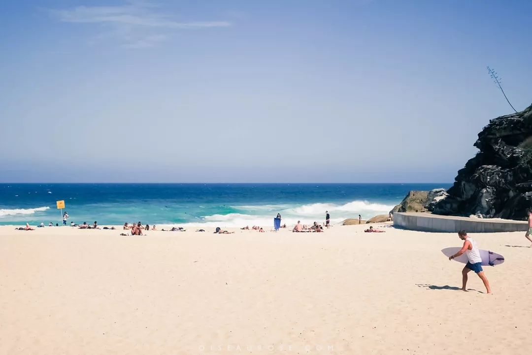 邦迪海滩(bondi beach)