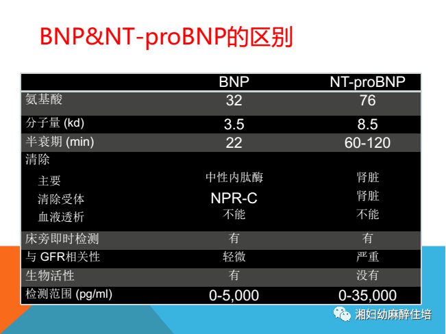 bnpntprobnp的临床意义