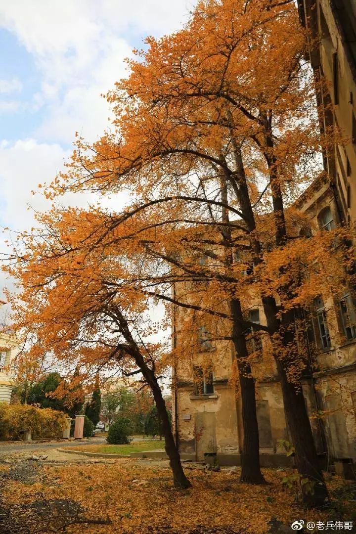 【区县旅游】又该去旅顺太阳沟了——这里的美才刚刚开始