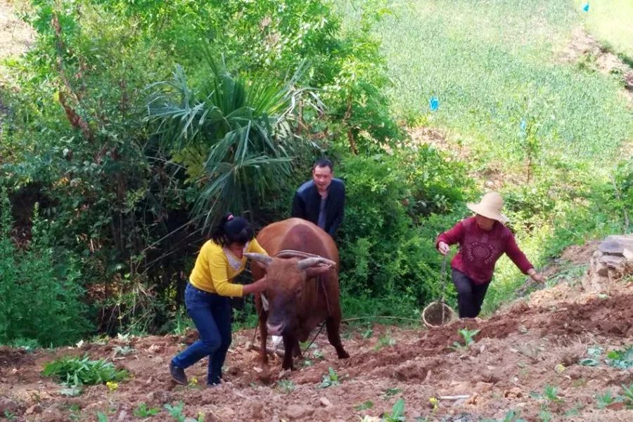 种地的人口_农民种地图片(2)