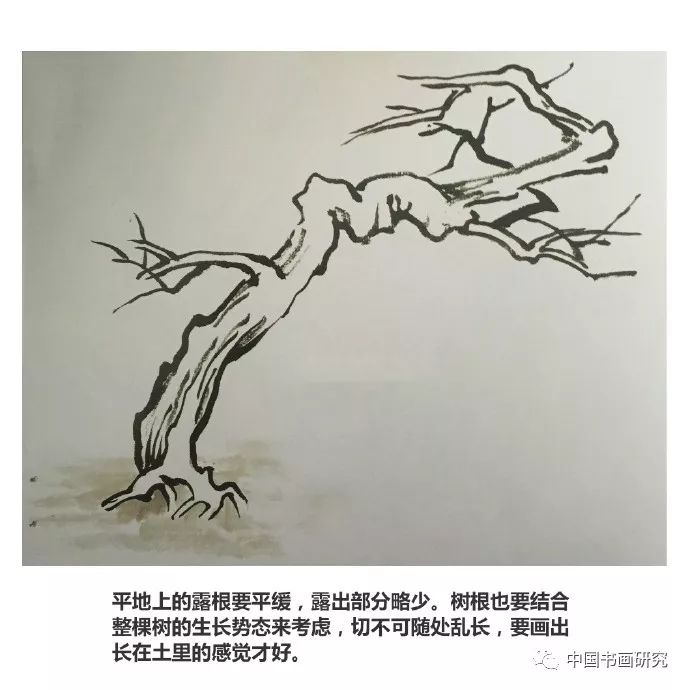 【国画入门教程·树法】露根法和鹿角法的画法.