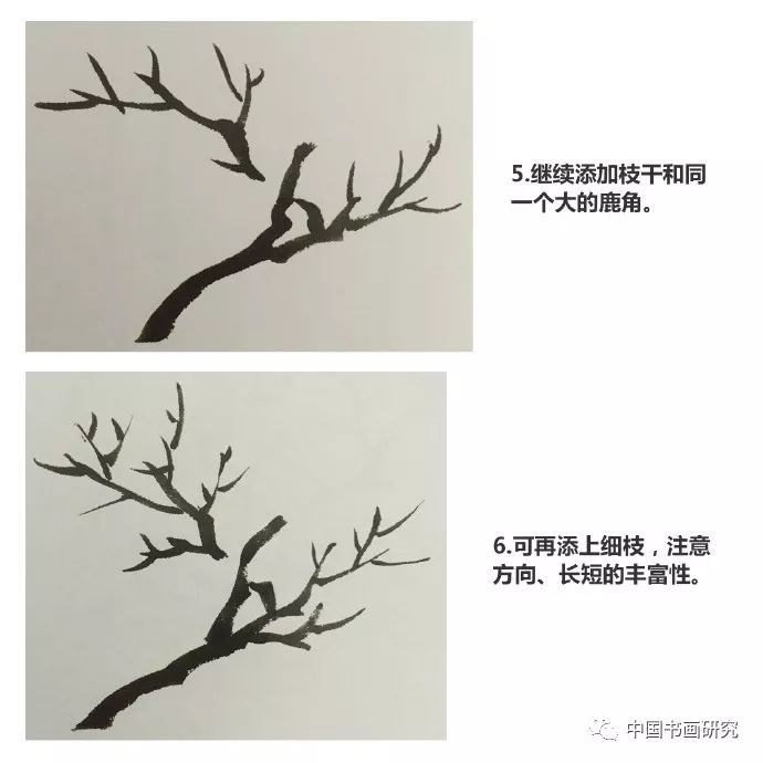 【国画入门教程·树法】露根法和鹿角法的画法.