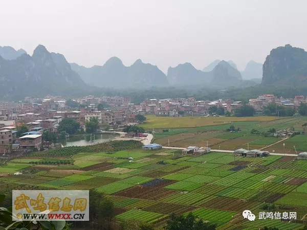 武鸣旧八景仙山重新装修重阳登高好去处