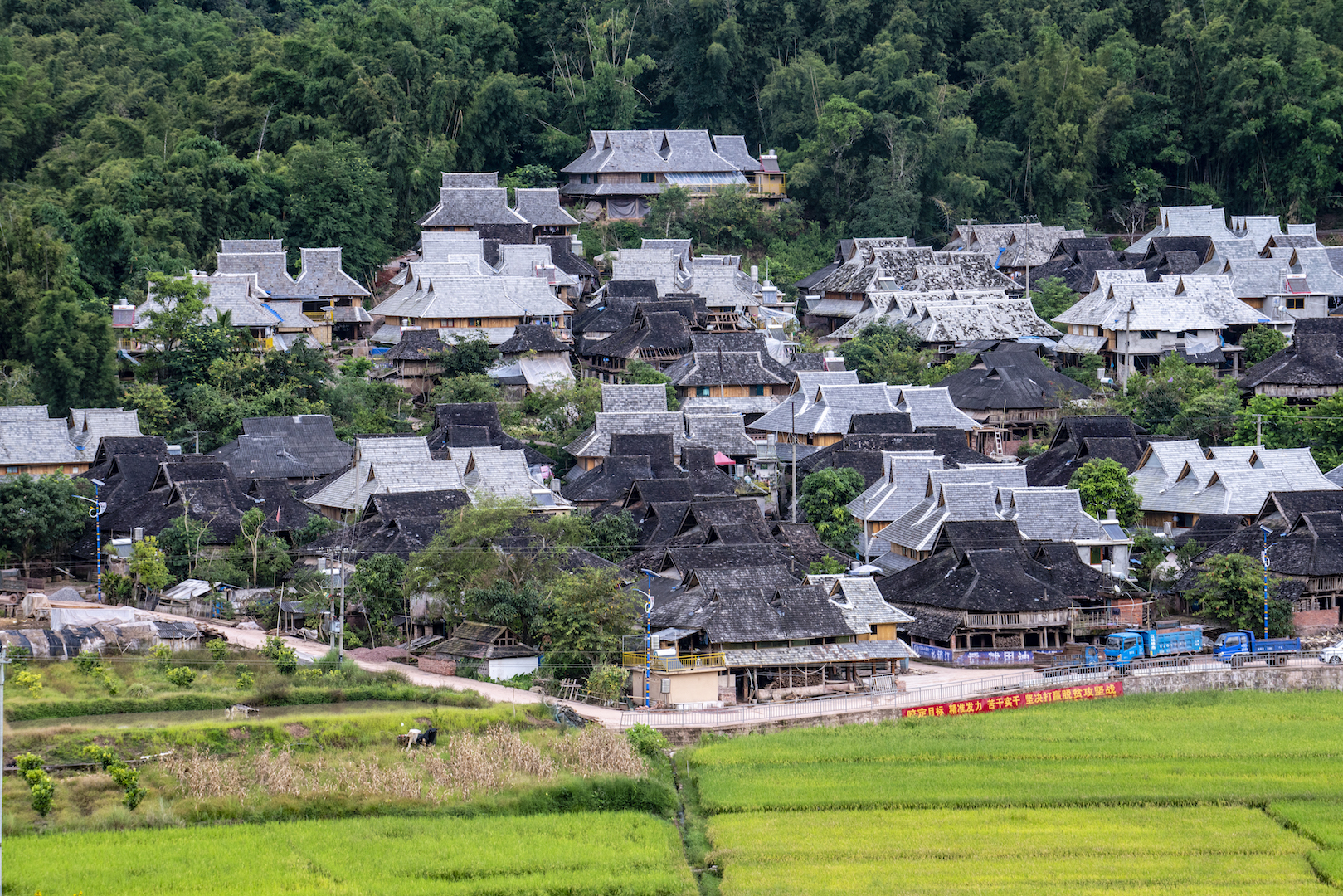 文典村人口_人口老龄化(2)