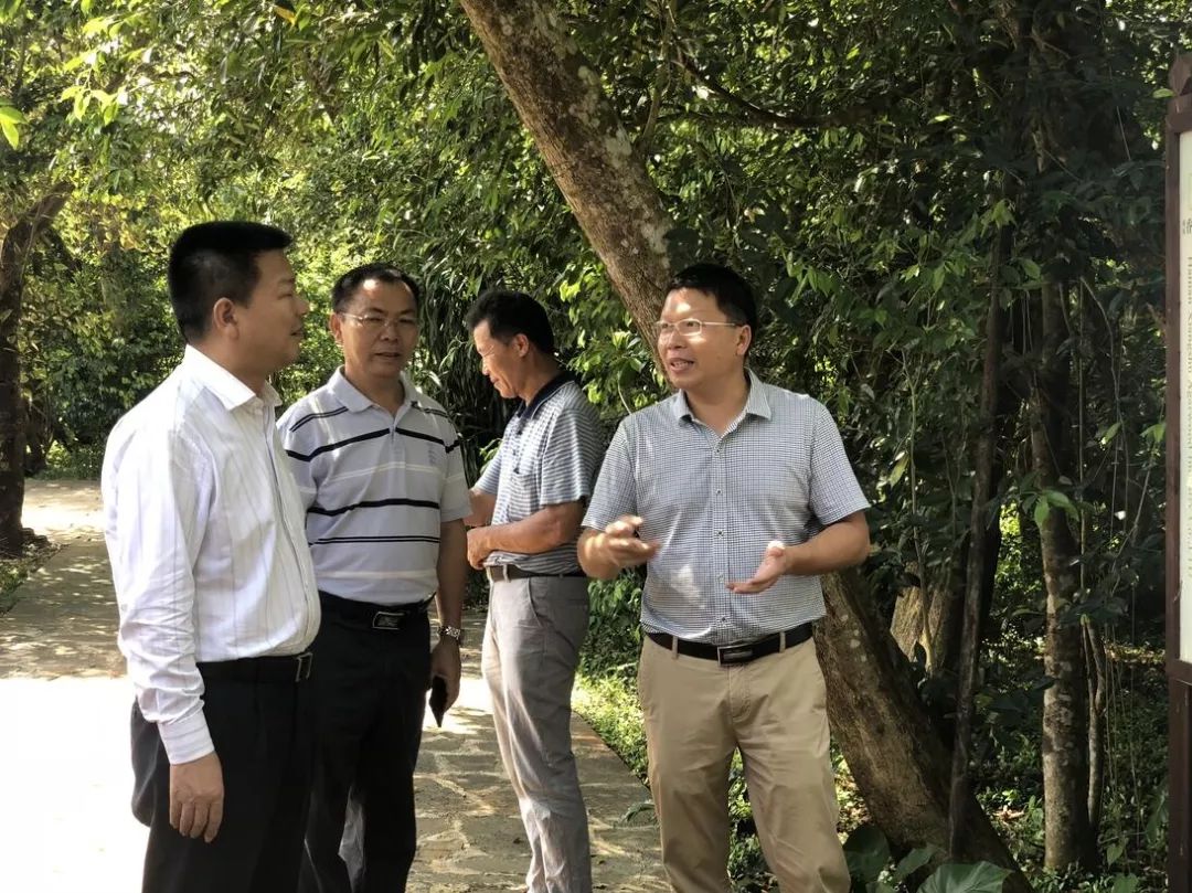 海南省林业厅厅长夏斐一行参观海南香树沉香生态产业园