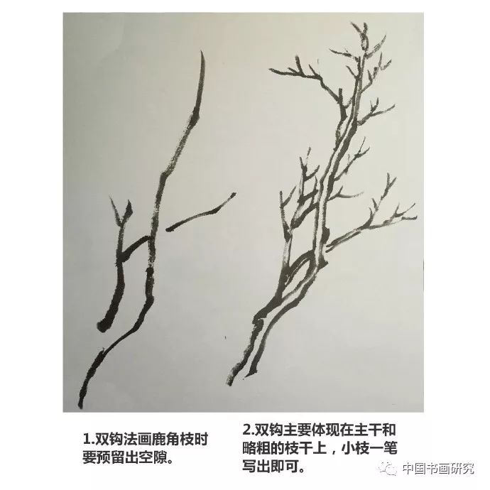 【国画入门教程·树法】露根法和鹿角法的画法.