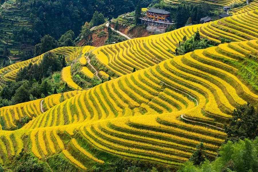 好景不常在好花不常开