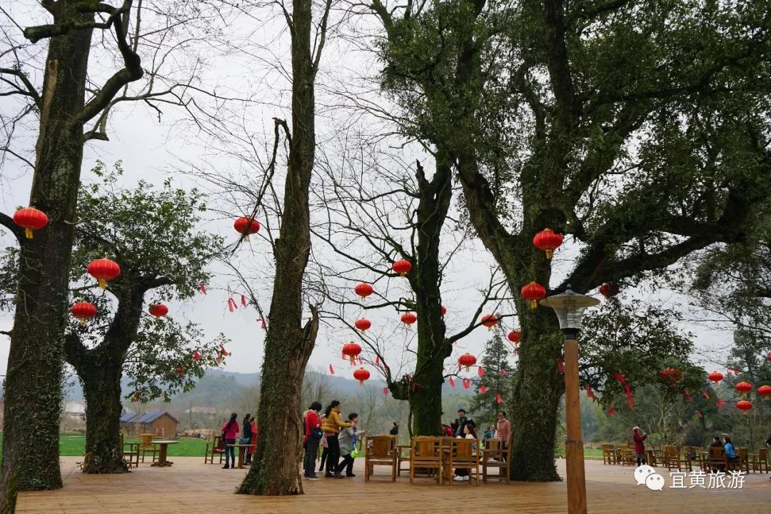 最适合旅行的抚州宜黄选一个合适的时间出发吧