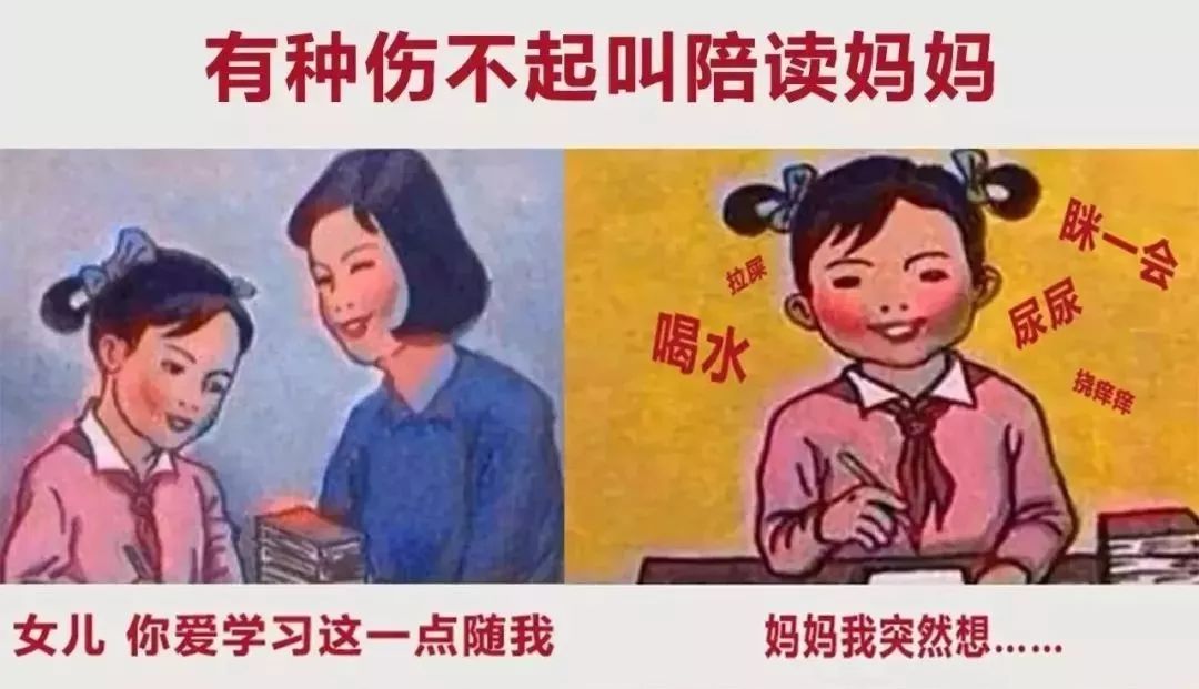 "老娘造了什么孽,要陪孩子写作业",哈哈哈哈哈哈哈哈