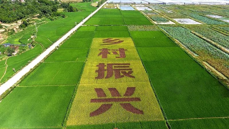 《乡村振兴战略规划(2018-2022年)》三万多字,一张图为您解说!